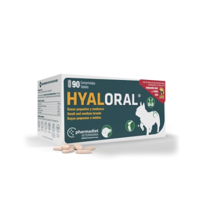 Condoprotector Hyaloral Raza Pequeña/Mediana