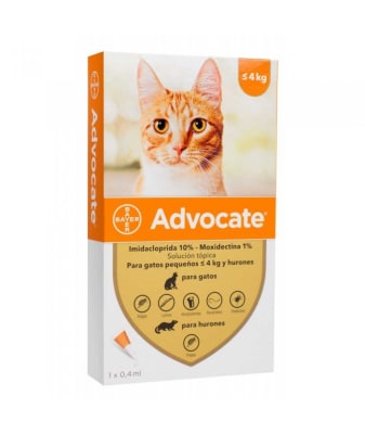 Advocate Gato1