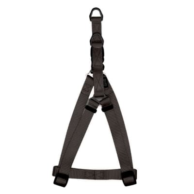 Zeus Arnes Fig A Grafito (Small / Medium)1