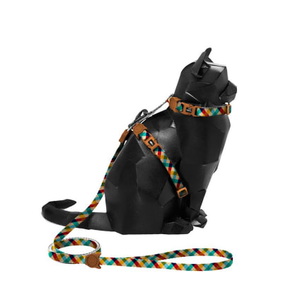 Correa y Arnes ZeeCat Phantom Harness + Leash1