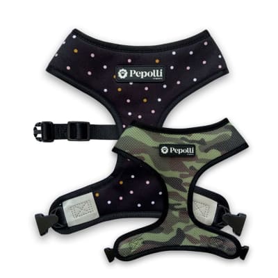 Arnes Perro Pepolli Arnes Reversible Galaxy1