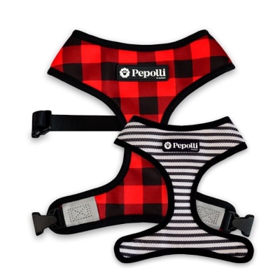 Arnes Perro Pepolli Reversible Mcfrench Medium1