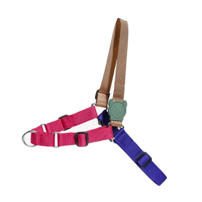 Arnes Anti Tiron Perro ZeeDog Yucca Soft-Walk Harness1