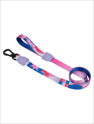 Correa Perro ZeeDog Noon Leash1