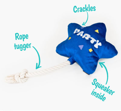 Juguete Perro Play Party Time Best Day Ever Balloon