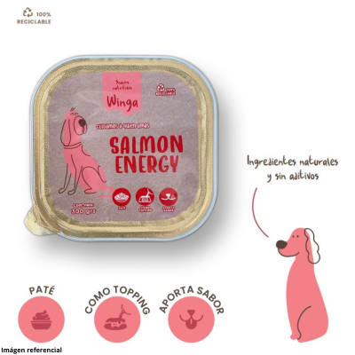 Alimento Humedo Perro Winga Salmon Energy