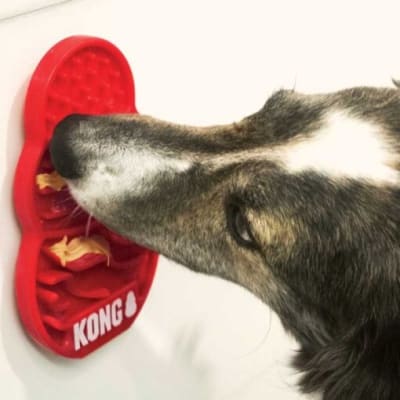 Juguete Perro Kong Licks1