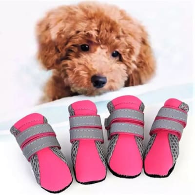 Wonder Dog Zapatos Para Perros1