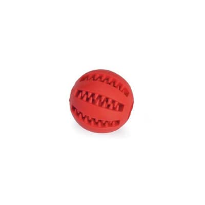 Juguete Perro Camon Pelota de Goma con Dientes1