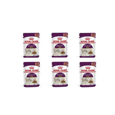 Pack 6x Royal Canin Cat Sensory Smell Pouch