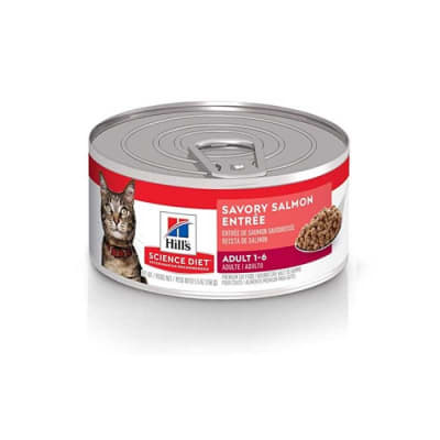 Hills Feline Adult Salmon Lata1