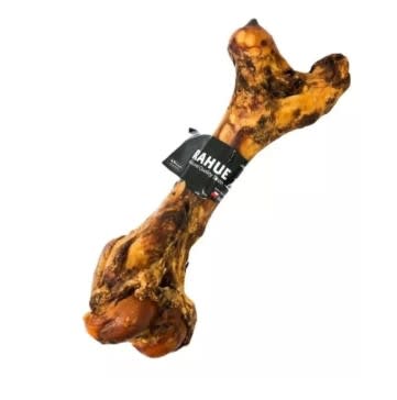 Rahue Femur Vacuno1