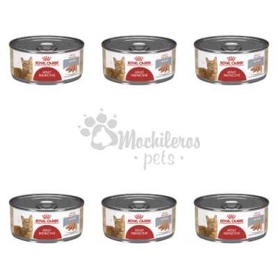 Pack 6x Royal Canin Cat Adult Instinctive Lata 145gr