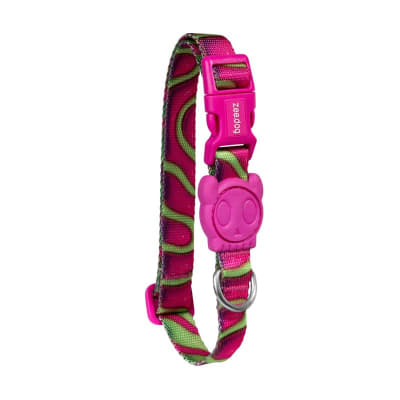 ZeeDog H3D Jelly Collar (XS/S/M/L)