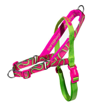 ZeeDog H3D Jelly Softer Walk1