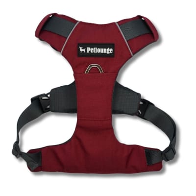 Petlounge Arnes Outdoor Burdeo (S / M / L)1