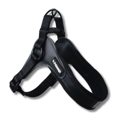 Petlounge Arnes Easy Glam Negro (S / M / L)