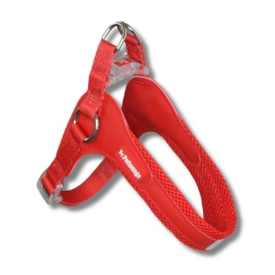 Petlounge Arnes Easy Glam Rojo (S / M / L)