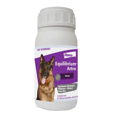 Equilibrium Artro1