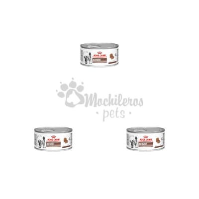 Pack 3x Royal Canin Recovery Lata 145gr1