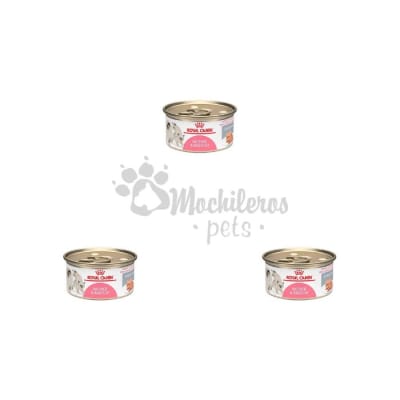 Pack 3x Royal Canin Cat Mother and Babycat Lata 145gr