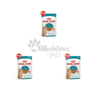 Pack 3x Royal Canin Cat Healthy Ageing 11+ Pouch 85g1
