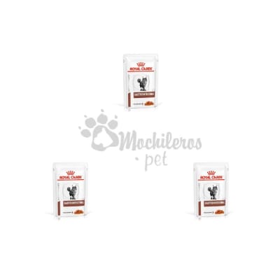 Pack 3x Royal Canin Cat Gastrointestinal Pouch 85gr1