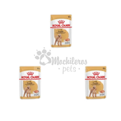Pack 3x Royal Canin Dog Poodle Pouch 85g