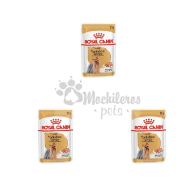 Pack 3x Royal Canin Dog Yorkshire Pouch 85gr1