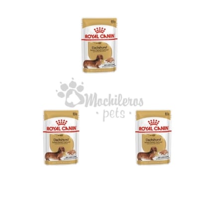 Pack 3x Royal Canin Dog Dachshund Pouch 85gr1