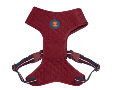 ZeeDog Dropout Velvet Vibes Adjustable Air Mesh (XS / S / M / L)1