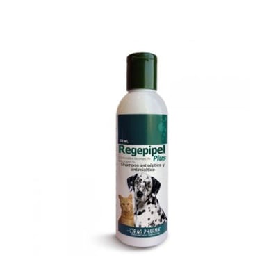Dragpharma Regepipel Plus Shampoo