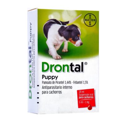 Drontal Puppy