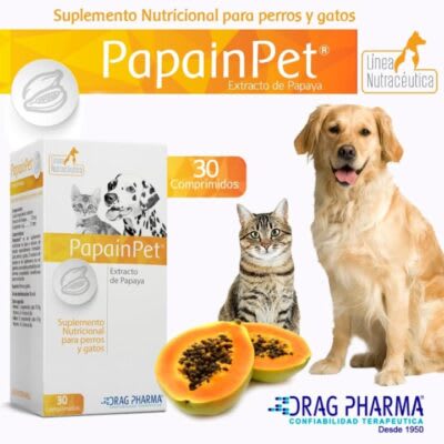 Dragpharma Papainpet