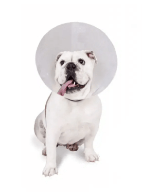 Marbenpets Collar Isabelino