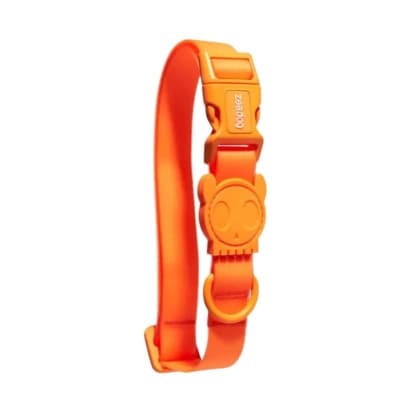 ZeeDog Neopro Tangerine Collar1