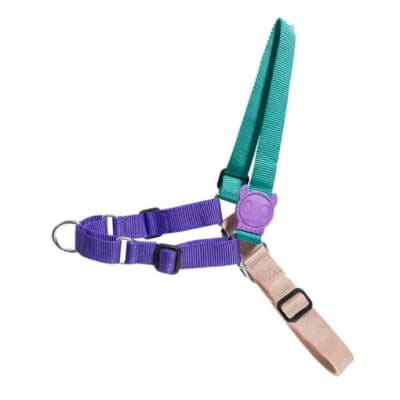 Zeedog Boogie Soft-Walk Harness1