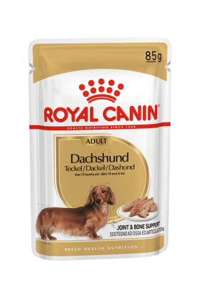 Alimento Humedo Perro Royal Canin Dachshund Pouch (85g)1