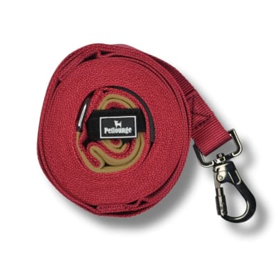 Petlounge Correa 3mts Burdeo1