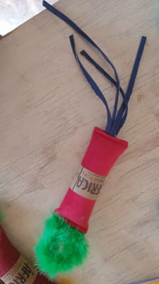 Africa Cazador Gato1