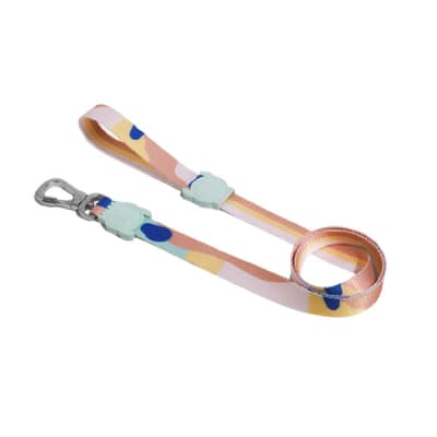 ZeeDog Columbia Leash
