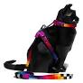 ZeeCat Prisma Harness + Leash Set1