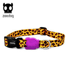 ZeeDog Honey Collar3