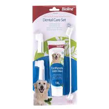 Bioline Higiene Dental Set Menta