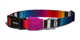 ZeeDog Prisma Collar