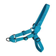 Arnes Perro ZeeDog Ultimate Blue Soft-Walk Harness3