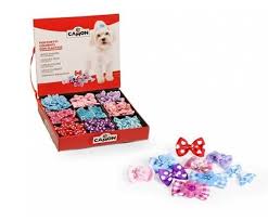 Camon Pinche Perros