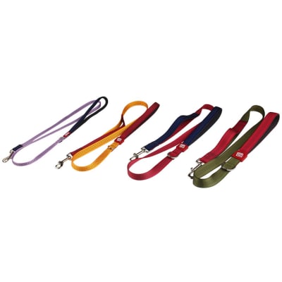 Correa Perro Gigwi Classic