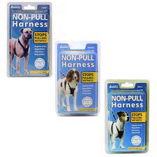 Arnes Perros Tca Non-Pull Harness1