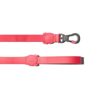 ZeeDog Neopro Bubblegum Leash1